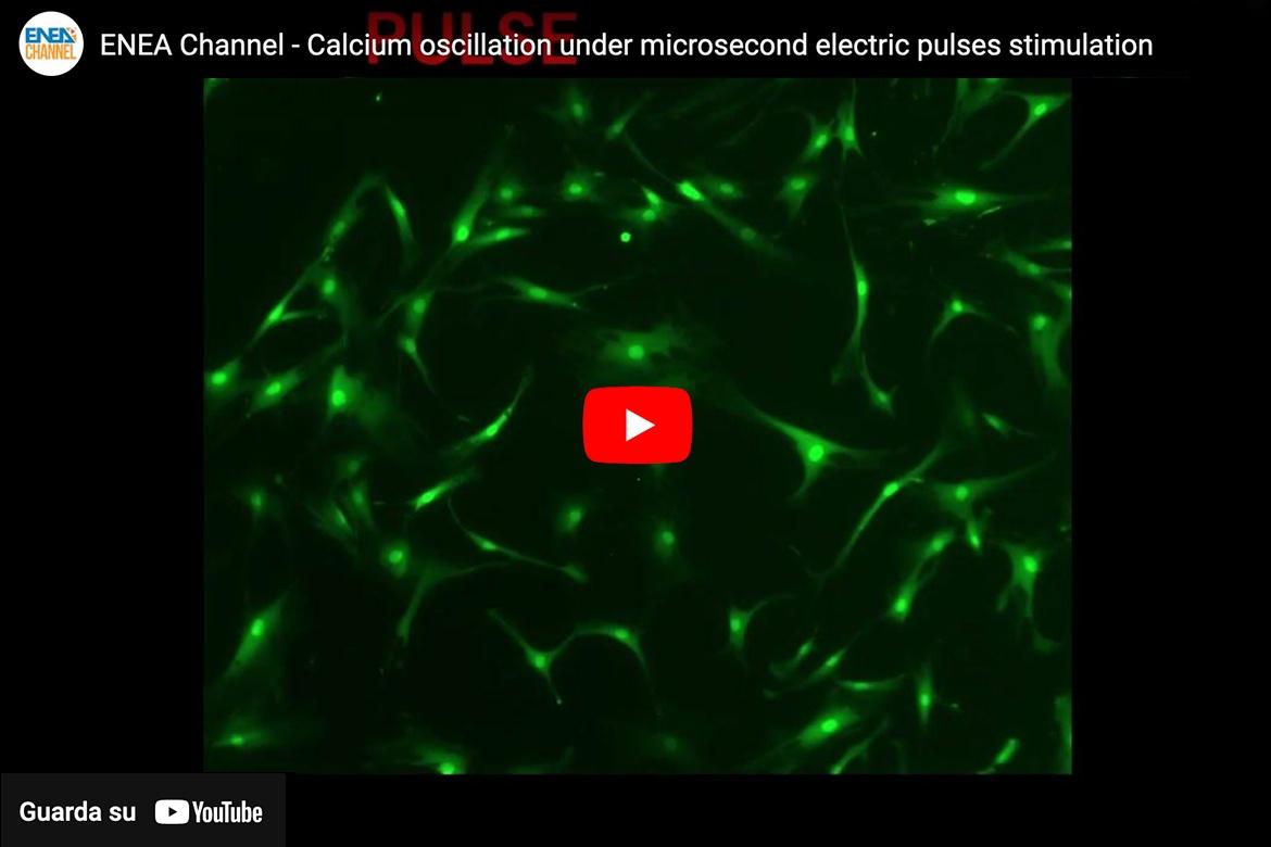 Electric stimulation setting development